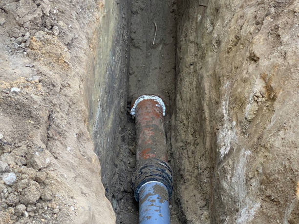 Best Flood restoration services  in Dakota Dunes, SD