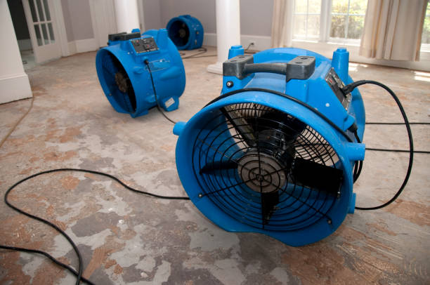 Best Emergency water damage restoration  in Dakota Dunes, SD