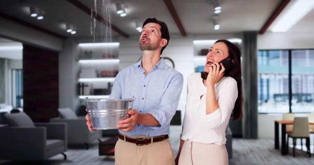 Best 24-hour water damage restoration  in Dakota Dunes, SD